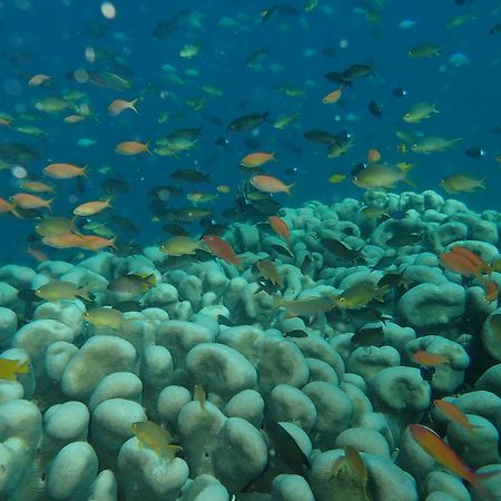 The High Dive Gili Gede By Ultimate Resorts 外观 照片
